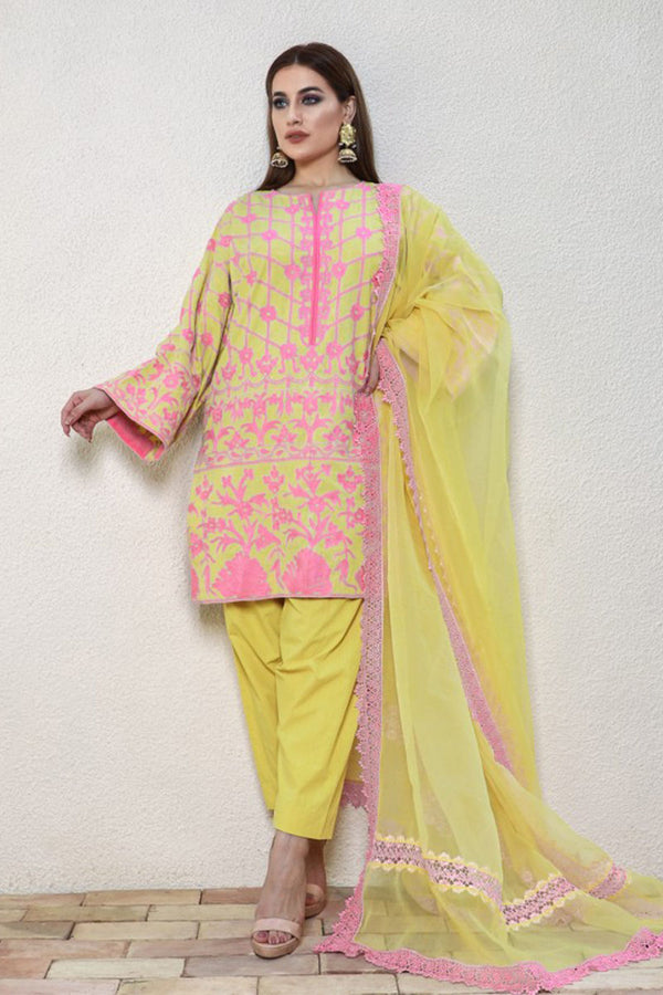 Arri Kameez